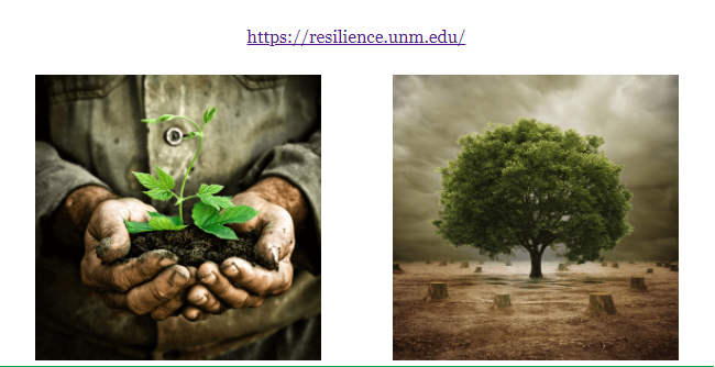 resilience-colloquium-part-2.png
