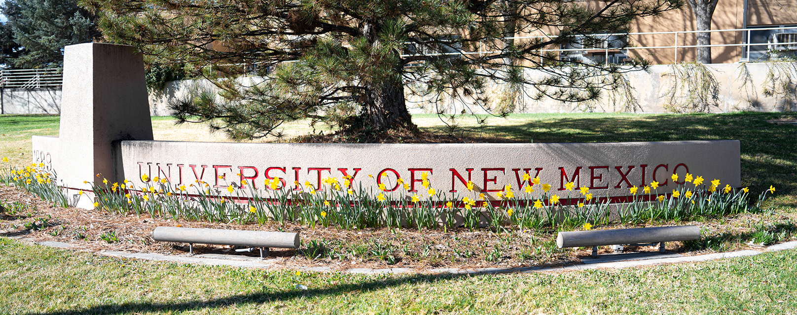 UNM sign in spring. Photo by Faye Elmore