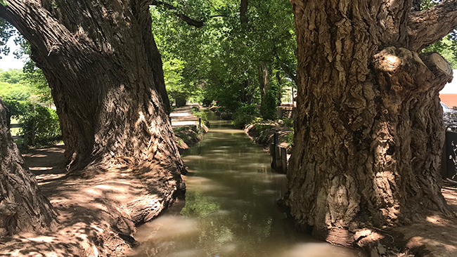 Photo: Perspectives on Innovative Approaches in Agriculture to Managing Water Scarcity