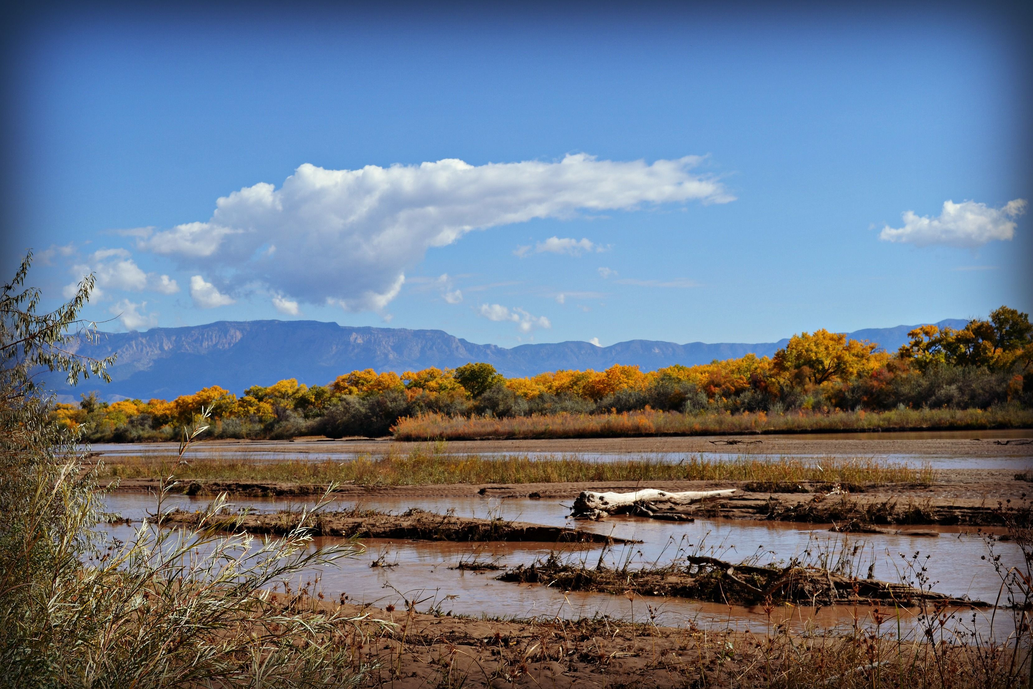 Photo: Using Dance to Explore Science and Sustainability