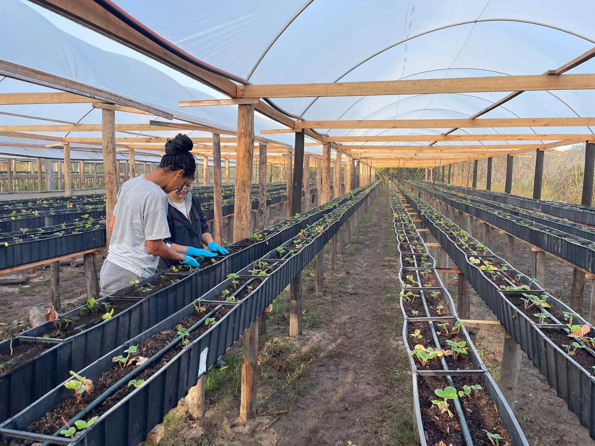 Sustainability at UNM