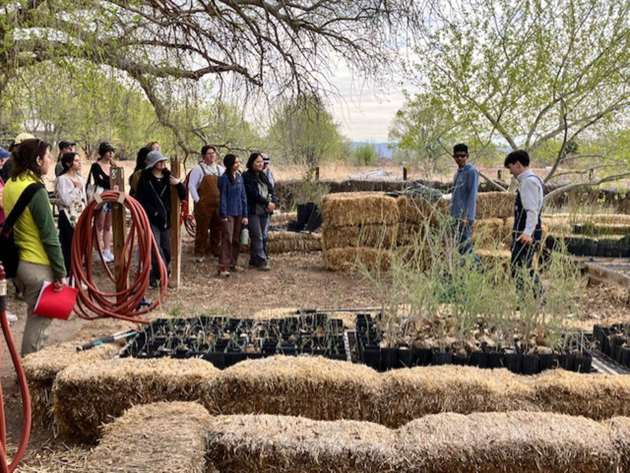 Sustainability at UNM