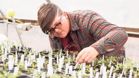 casey holland december farmer unm edu sust ph program archives farms